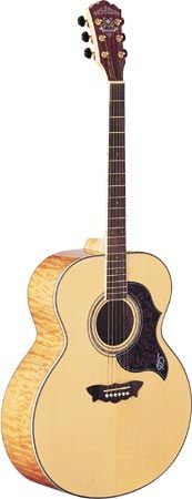 Washburn J28SDL - Акустическая гитара