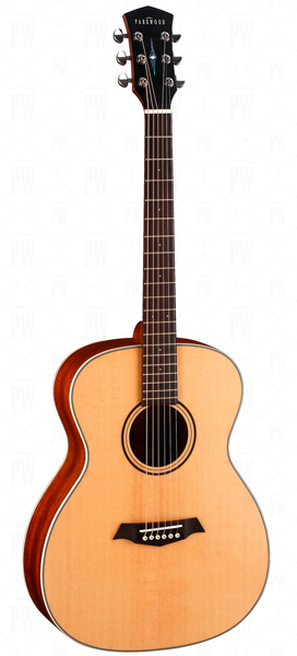 Parkwood S22-GT - Акустическая гитара