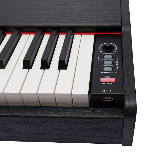 ROCKDALE Keys RDP-1088 - Цифровое пианино