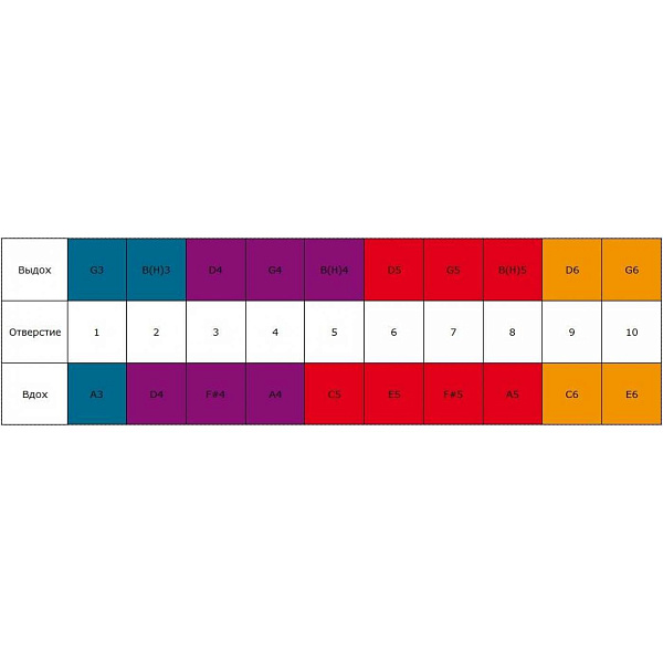 HOHNER Special 20 560/20 G (M560086X) - Губная гармоника диатоническая