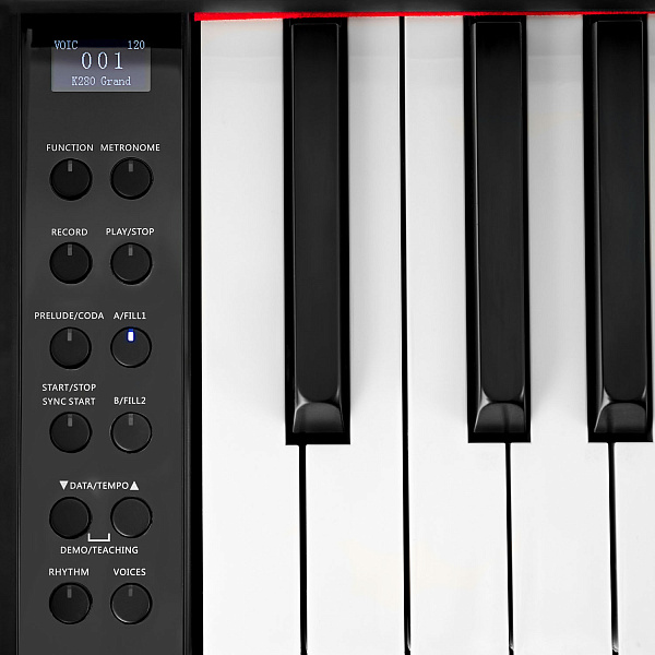 MUZPLANET YDP-145B - Цифровое пианино