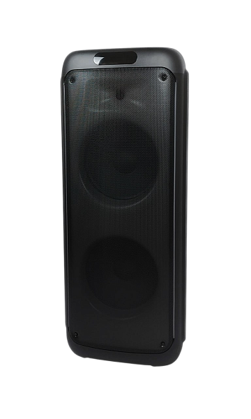 TEMEISHENG YJ-1228 - Портативная акустическая система с двумя радиомикрофонами.