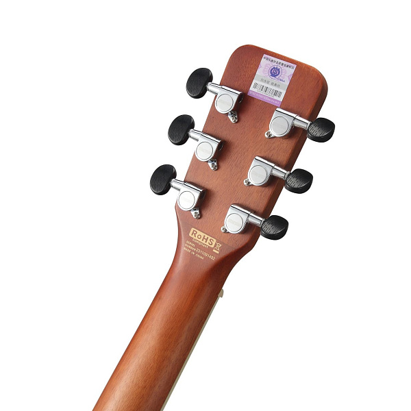 STARSUN DG220p Open-Pore - Акустическая гитара