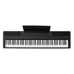 Emotive Hammerpiano 1 BK, цифровое фортепиано, цвет черный