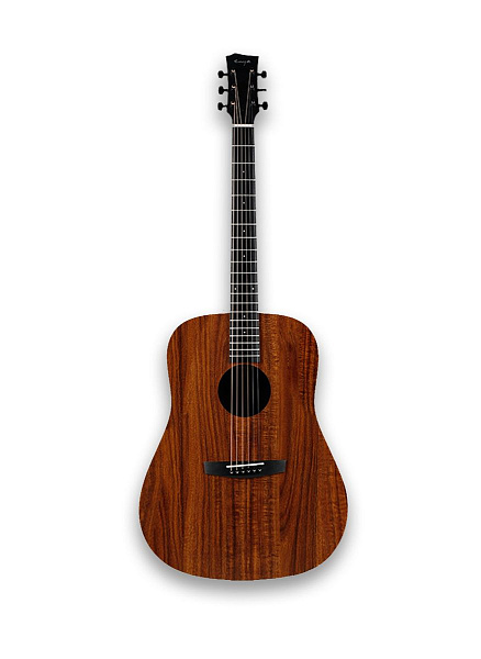 ENYA ED-X1+ - Акустическая гитара