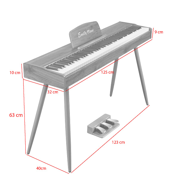 EMILY PIANO D47 BK - Цифровое фортепиано