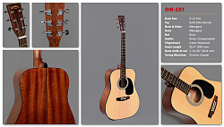 Sigma DM-1ST - Акустическая гитара