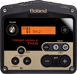 Roland TM-2 Триггерный модуль.
