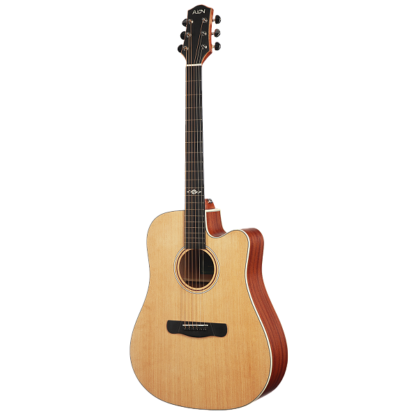 Aion X20M - Акустическая гитара