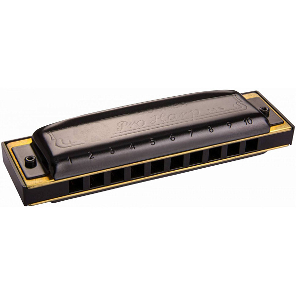 HOHNER Pro Harp 562/20 MS C - Губная гармоника диатоническая (M564016X)