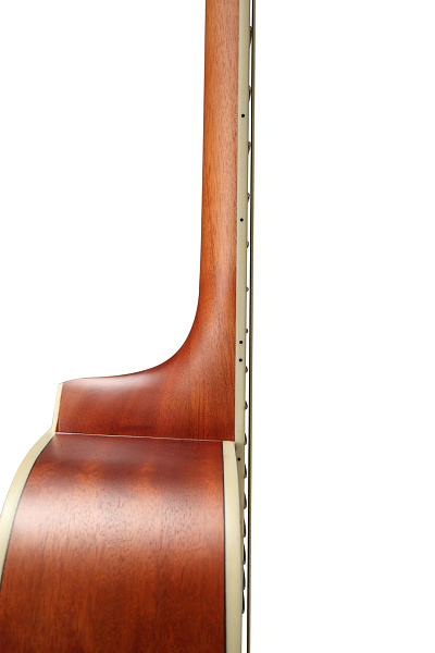STARSUN DG220p Open-Pore - Акустическая гитара