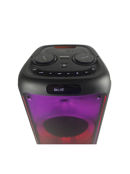 TEMEISHENG YJ-1228 - Портативная акустическая система с двумя радиомикрофонами.