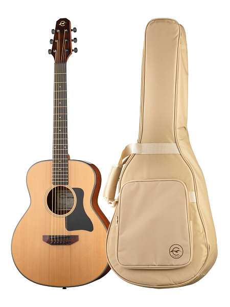 Caraya P301210 - Акустическая гитара Travel