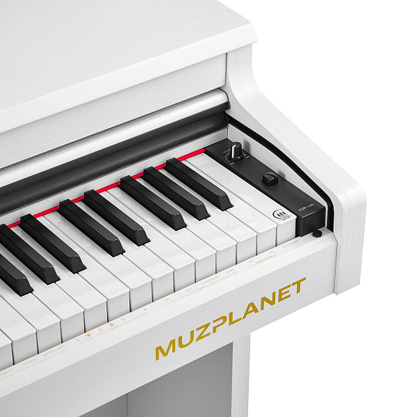 MUZPLANET YDP-145WH - Цифровое пианино