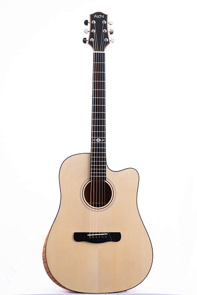 Aion Q20M - Акустическая гитара