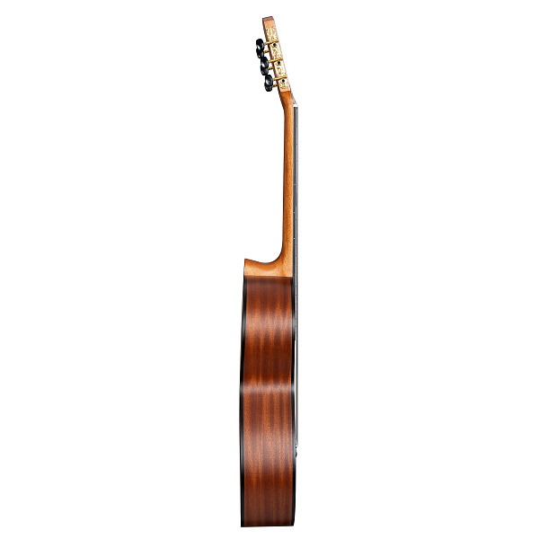 Cascha CGC200 SS - Классическая гитара 4/4, с чехлом