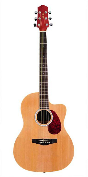 Naranda CAG280CNA - Акустическая фолк-гитара с вырезом