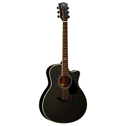 KEPMA A1C Black - Акустическая гитара