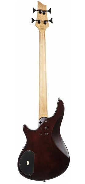 Schecter SGR C-4 BASS MSBK - Гитара бас, 4 струны, чехол в комплекте