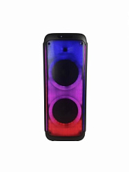 TEMEISHENG YJ-1228 - Портативная акустическая система с двумя радиомикрофонами 