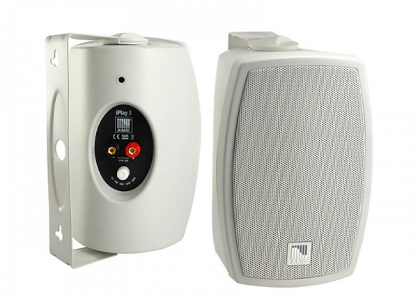 AMC iPlay 5WT - 2-х полосный, полнодиапазонный громкоговоритель