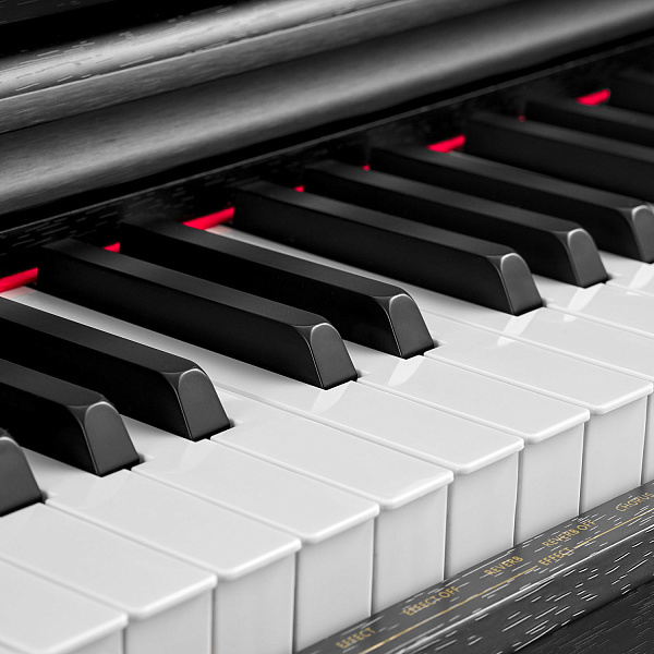 MUZPLANET YDP-145B - Цифровое пианино